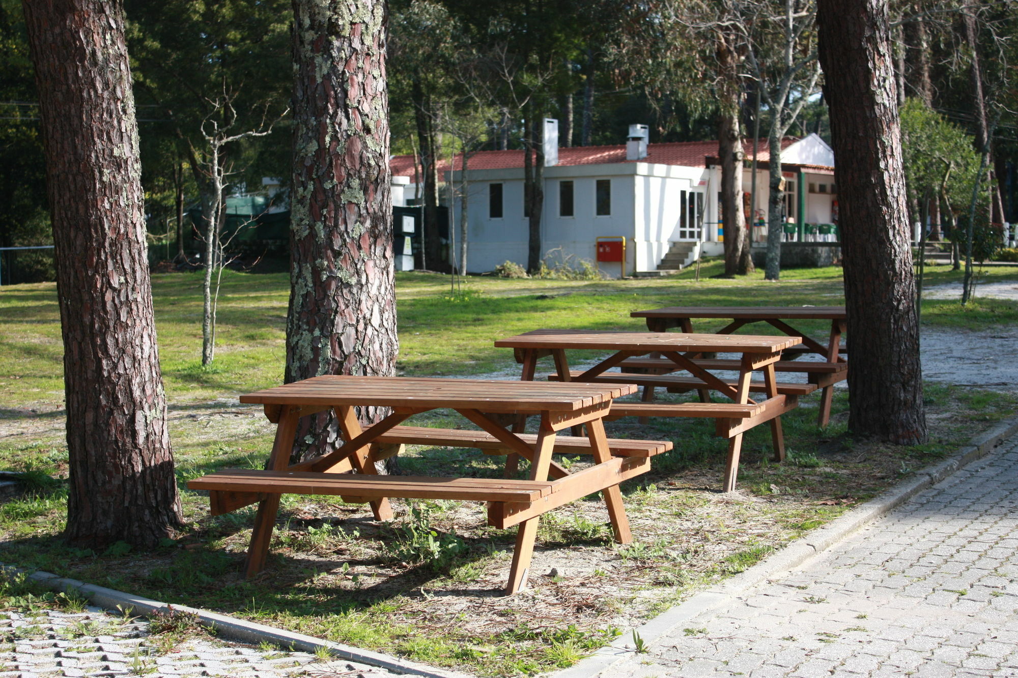 Orbitur Caminha Bungalows - Caravan Park Exterior foto